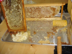 You can see the cappings roller on the right, I think it's supposed to perforate the cappings but it gets so filled with cappings and honey that it was useless after the first few rolls. I went back to my capping scratcher. It was also a real pain to clean, if you wanted to keep any of the wac or honey.